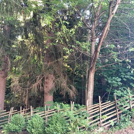 Naturforsthaus Eddas Fuer Hunde - Und Naturverbundene Menschen 3* Preitenegg