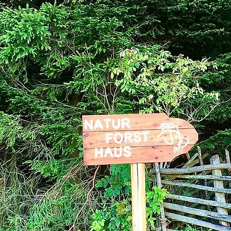 Naturforsthaus Eddas Fuer Hunde - Und Naturverbundene Menschen * Preitenegg