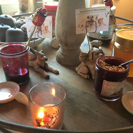 Naturforsthaus Eddas Fuer Hunde - Und Naturverbundene Menschen Preitenegg