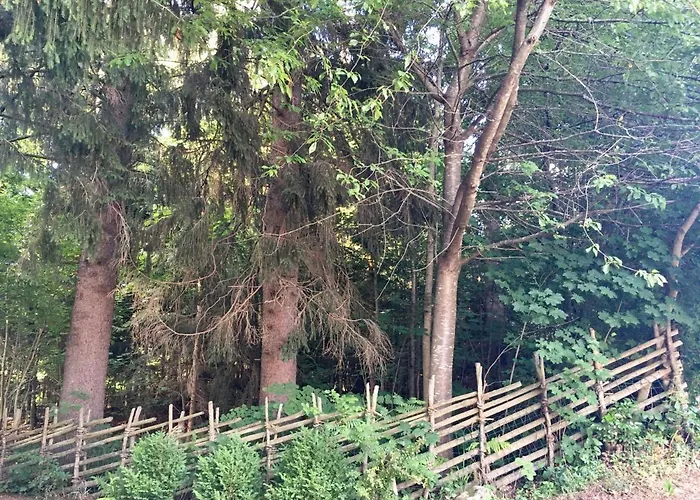 Naturforsthaus Eddas Fuer Hunde - Und Naturverbundene Menschen 3* Preitenegg