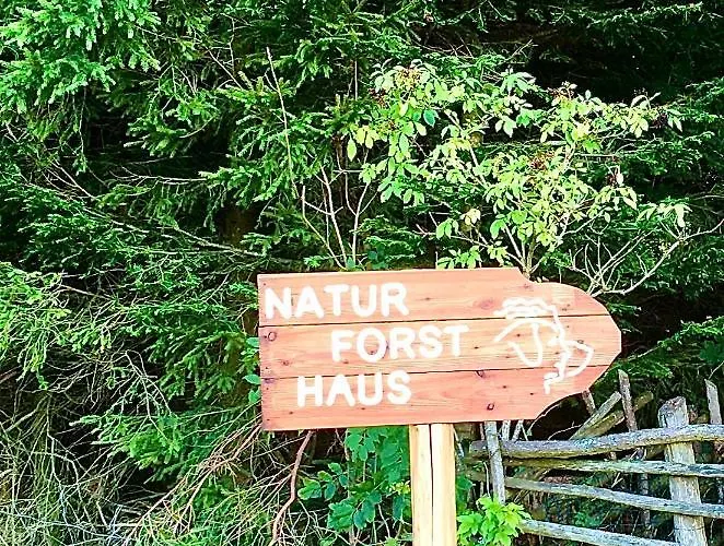 Naturforsthaus Eddas Fuer Hunde - Und Naturverbundene Menschen 3* Preitenegg